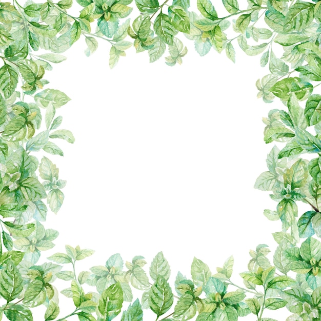 Folhas e galhos frescos de hortelã aquarela modelo de ilustração desenhado à mão ervas culinárias aromáticas