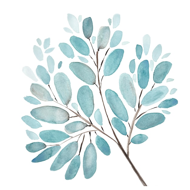 Folhas e ramos de fundo aquarela ilustração. conjunto de elementos florais de pintados à mão. ilustração botânica em aquarela. eucalipto, oliveira, folhas verdes.