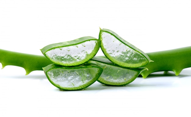 Folhas frescas de aloe vera no espaço em branco