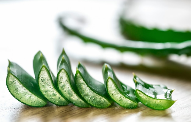 Folhas frescas de Aloe Vera