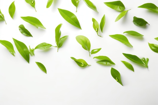 Foto folhas frescas de chá verde caindo sobre uma superfície branca