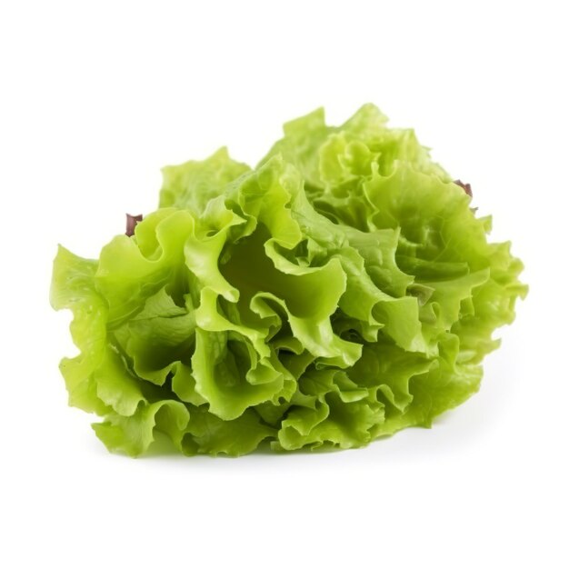 Folhas frescas de salada de alface verde isoladas no fundo branco geram ai