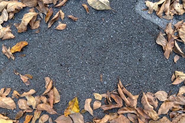 Folhas secas colocadas no fundo da estrada de asfalto folha seca da vista superior plana