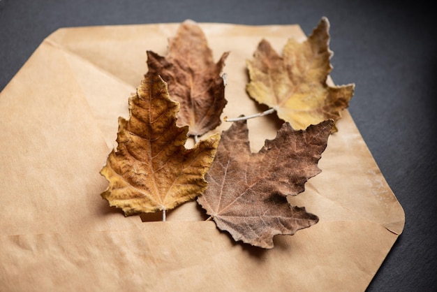 Folhas secas de herbário amareladas na decoração de outono de envelope artesanal