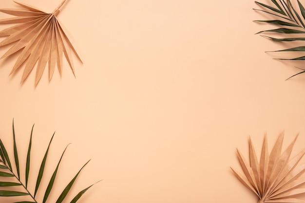 Folhas secas de palmeira tropical decorativa em fundo bege Copie o espaço