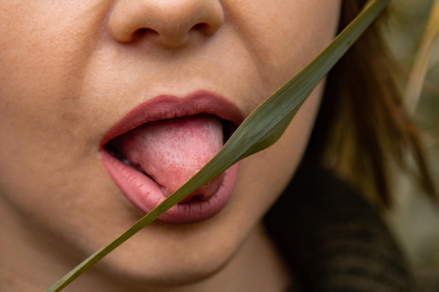 Folhas sensuais perto da boca feminina A língua da menina segura a planta Cosméticos naturais para lábios e pele Boquete e conceito de sexo oral Primavera e natureza jovem bela boca jovem Comida vegana