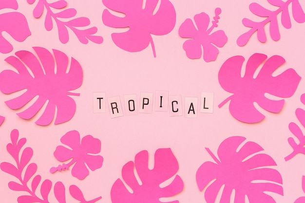 Folhas tropicais cor-de-rosa na moda da inscrição do papel e do texto tropicais no fundo cor-de-rosa.