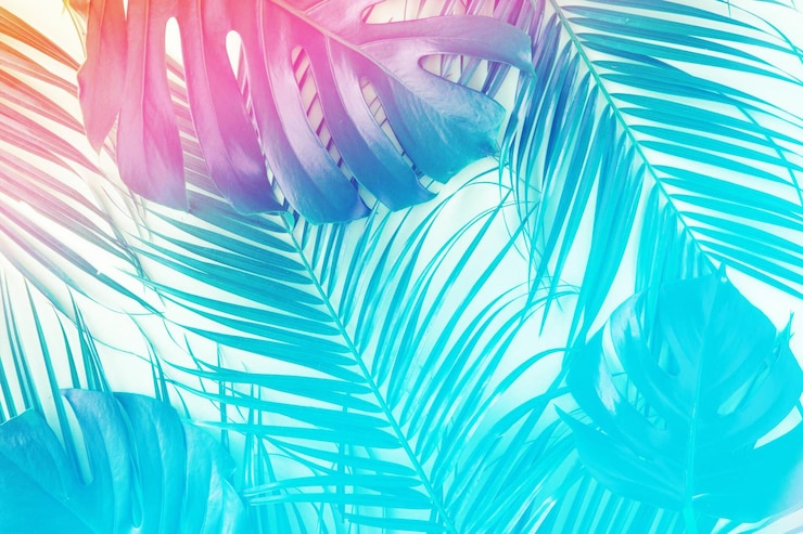 Foto folhas tropicais e de palmeira em cores holográficas de gradiente vibrante conceito de surrealismo de arte minimalista.
