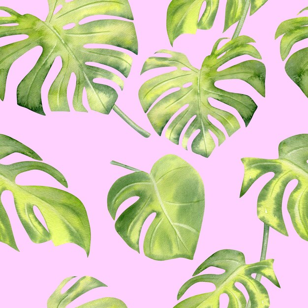 Folhas tropicais em aquarela monstera sem costura padrão