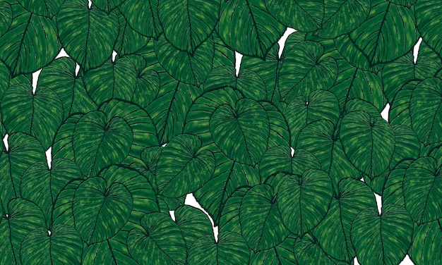 Folhas tropicais verdes padrão fundo de design de papel de parede de natureza abstrata