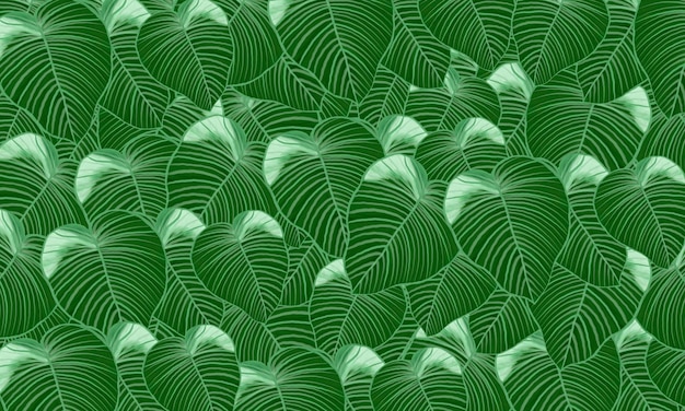 Folhas tropicais verdes primavera abstrata, fundo de natureza de verão