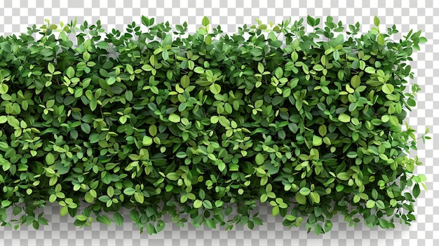 folhas verdes bordadas isoladas em branco