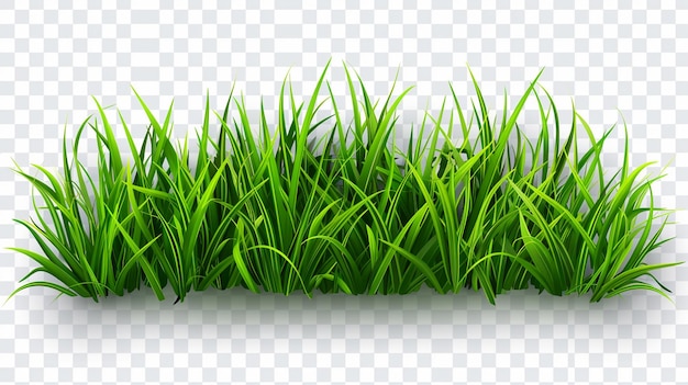 folhas verdes bordadas isoladas em branco
