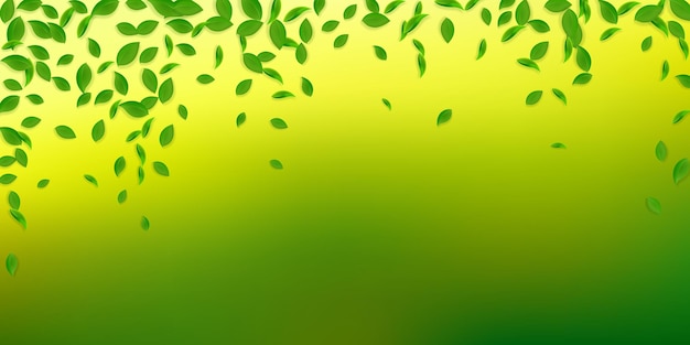 Folhas verdes caindo Folhas caóticas de chá fresco voando Folhagem de primavera dançando em fundo branco Incrível modelo de sobreposição de verão Ilustração em vetor de venda de primavera sublime