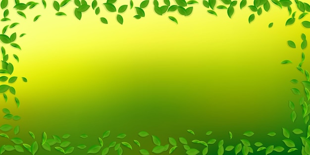 Folhas verdes caindo Folhas caóticas de chá fresco voando Folhagem de primavera dançando em fundo branco Modelo de sobreposição de verão divertido Ilustração em vetor de venda de primavera popular