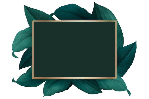 Folhas verdes com elemento de design de moldura retangular dourado
