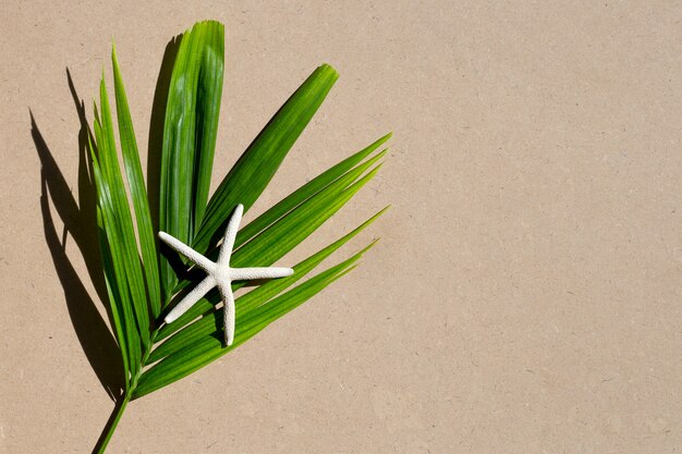 Foto folhas verdes com peixe estrela no fundo marrom. aproveite o conceito de férias de verão. copie o espaço