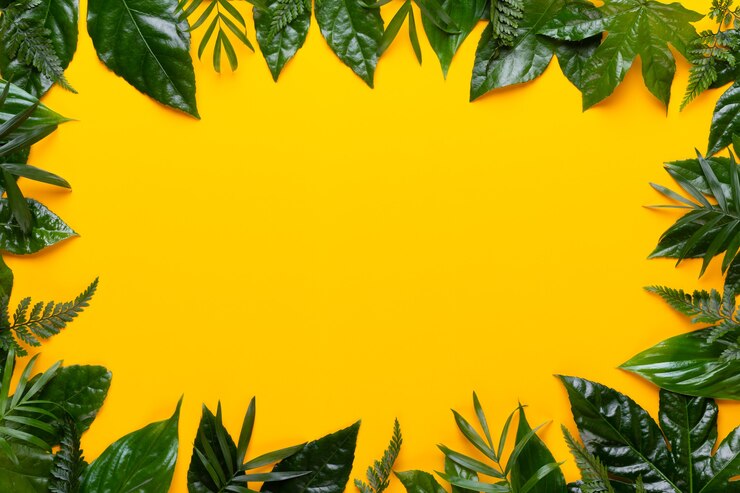 Foto folhas verdes da planta no fundo amarelo