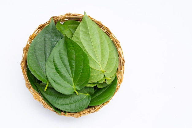 Folhas verdes de bétele, gaiteiro fresco na cesta de bambu no fundo branco