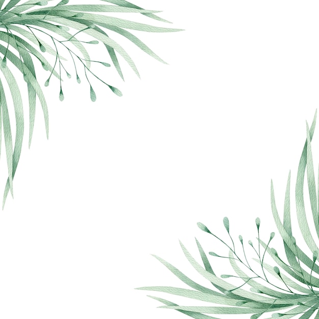 Folhas verdes de cartão de ilustração de aquarela e moldura de grama Isolado em fundo branco Desenhado à mão