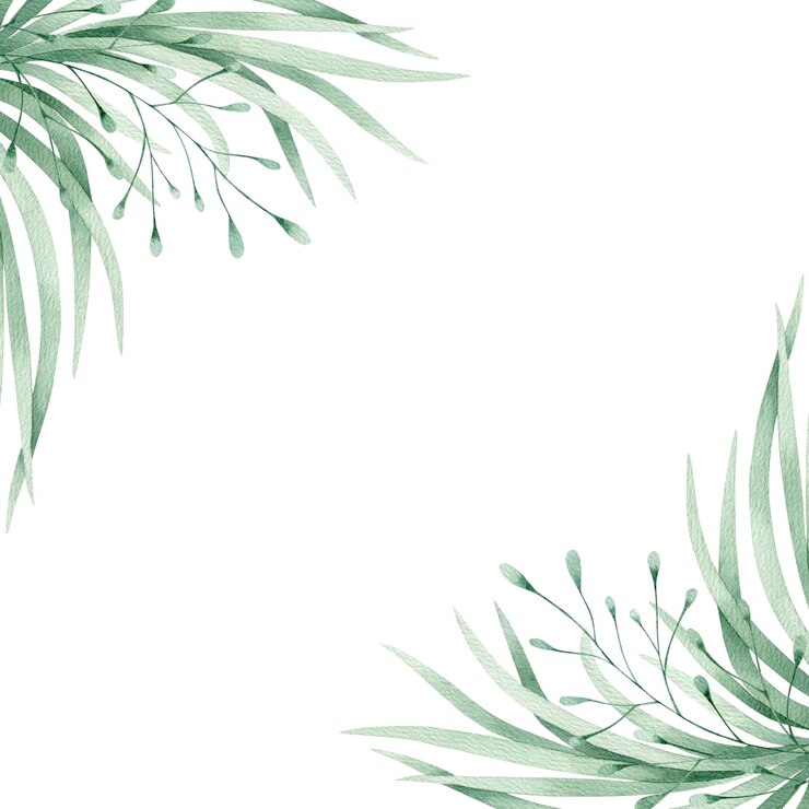 Foto folhas verdes de cartão de ilustração de aquarela e moldura de grama isolado em fundo branco desenhado à mão