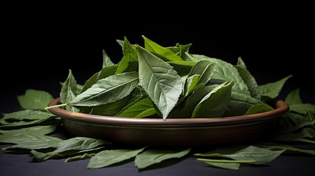 Folhas verdes de coca generativas ai