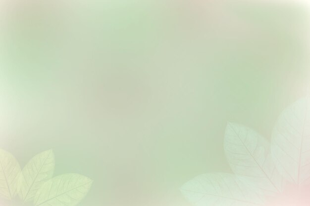 Foto folhas verdes de fundoabstract blur