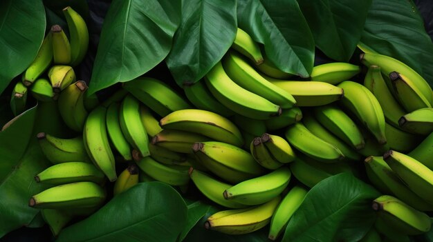 Foto folhas verdes e fundo de banana