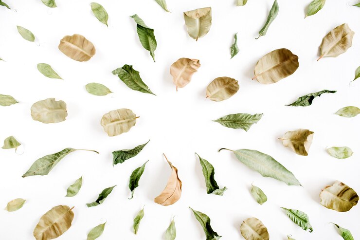 Foto folhas verdes e marrons deitadas planas