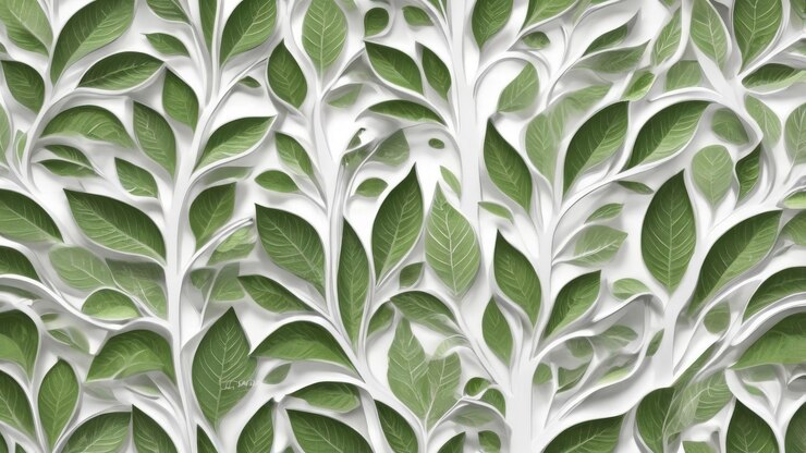 Foto folhas verdes em fundo branco