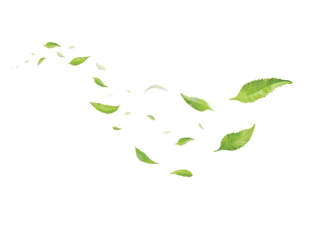 Foto folhas verdes flutuantes folhas voadoras folha verde dançante purificador de ar atmosfera simples imagem principalx9