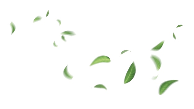 Foto folhas verdes flutuantes, folhas voadoras folhas verdes dançando, purificador de ar atmosfera imagem principal simples