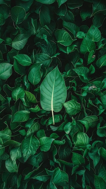 Folhas verdes flutuantes folhas voadoras folhas verdes dançando purificador de ar atmosfera simples imagem principal