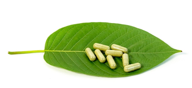 Folhas verdes frescas de Kratom e cápsulas de pó de fitoterapia natural isoladas em fundo branco