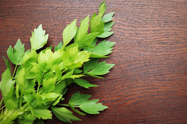 Folhas verdes frescas de lovage ou Levisticum officinale numa tábua de madeira