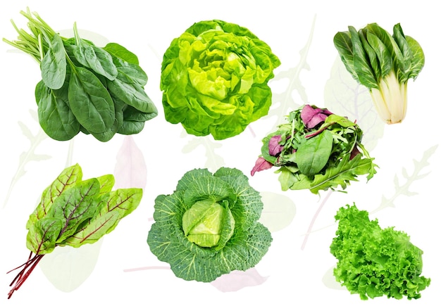 Folhas verdes frescas perfeitas para saladas, smoothies e refeições saudáveis