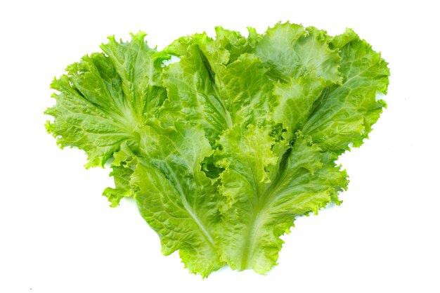 Folhas verdes orgânicas frescas vegetais em fundo branco imagem usada para fundo de alimentos saudáveis limpos Comer salada para controlar o peso
