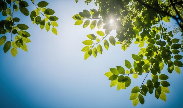 Folhas verdes sob o fundo do céu azul na primavera e jardim de verão