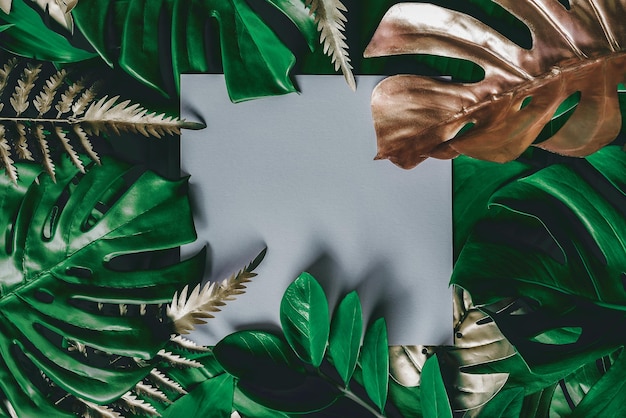 Foto folhas verdes tropicais e palmeiras com quadro de nota de papel branco natureza plana leiga conceito