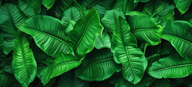 Folhas verdes vibrantes e exuberantes adornando uma parede Imagem de estoque facilmente descoberta com IA gerativa