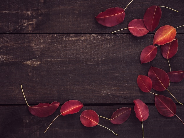 Folhas vermelhas e superfície marrom de tábuas de madeira