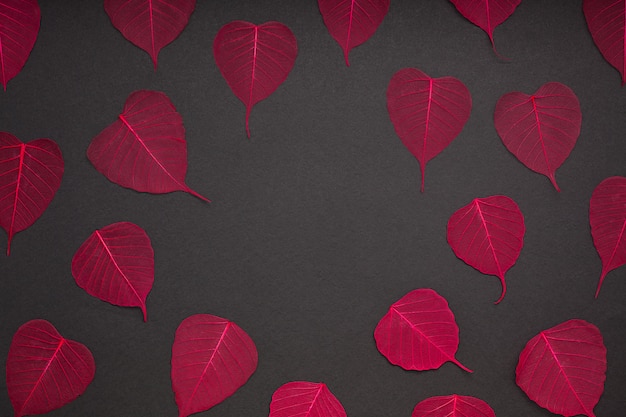 Foto folhas vermelhas, padrão, papel preto, fundo