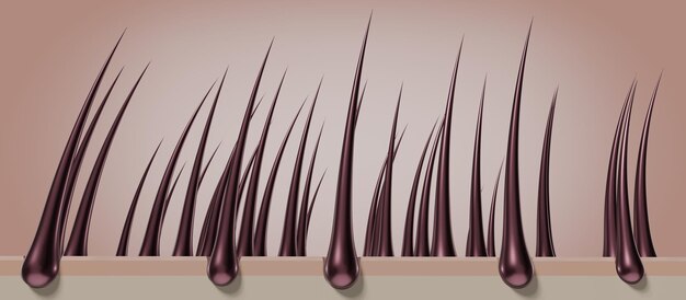 Folículos pilosos sanos y piel bajo microscopio ilustración 3D