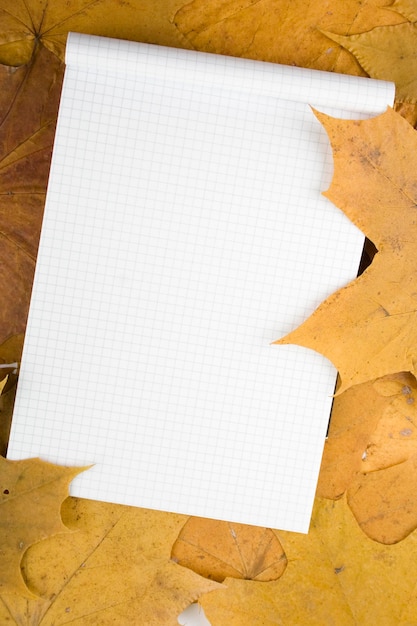 Foto en el follaje de otoño hay un bloc de notas de hojas blancas puede escribir texto