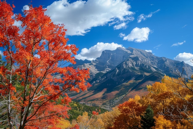 El follaje de otoño con el majestuoso fondo de la montaña