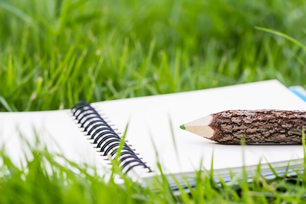 Foto folleto y lápiz sobre hierba verde