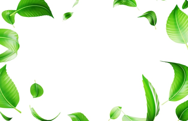 Fondo 3D con hojas verdes que caen y vuelan en el aire Render Nature eco marco de estandarte con follaje fresco Frontera de venta decorativa de hojas de menta o té con maqueta de espacio vacío blanco