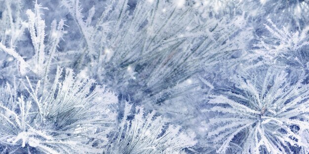 Fondo de abeto de nieve de invierno Primer plano de copos de nieve Hermosa Navidad y año nuevo