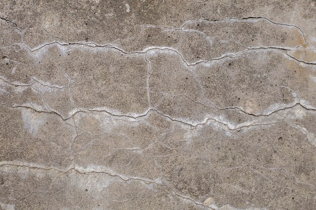 El fondo abstracto es la textura de una pared gris de hormigón