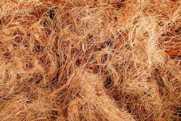 Fondo abstracto de la fibra de coco de la textura